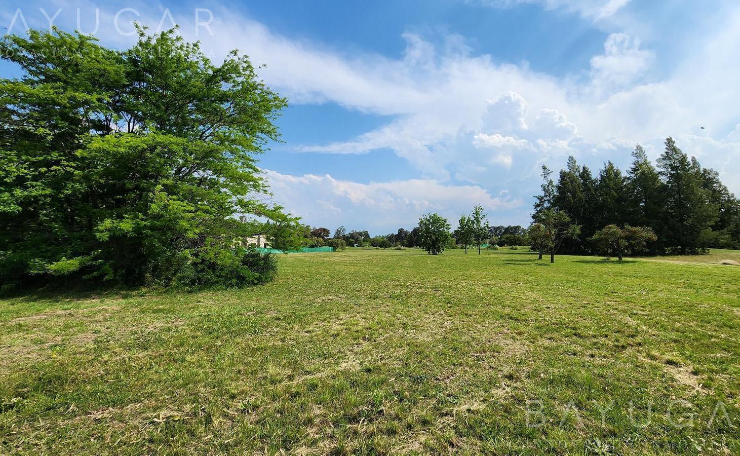 Foto de Venta - Lotes en Medal Country Club - Ruta Provincial 34, imagen 3