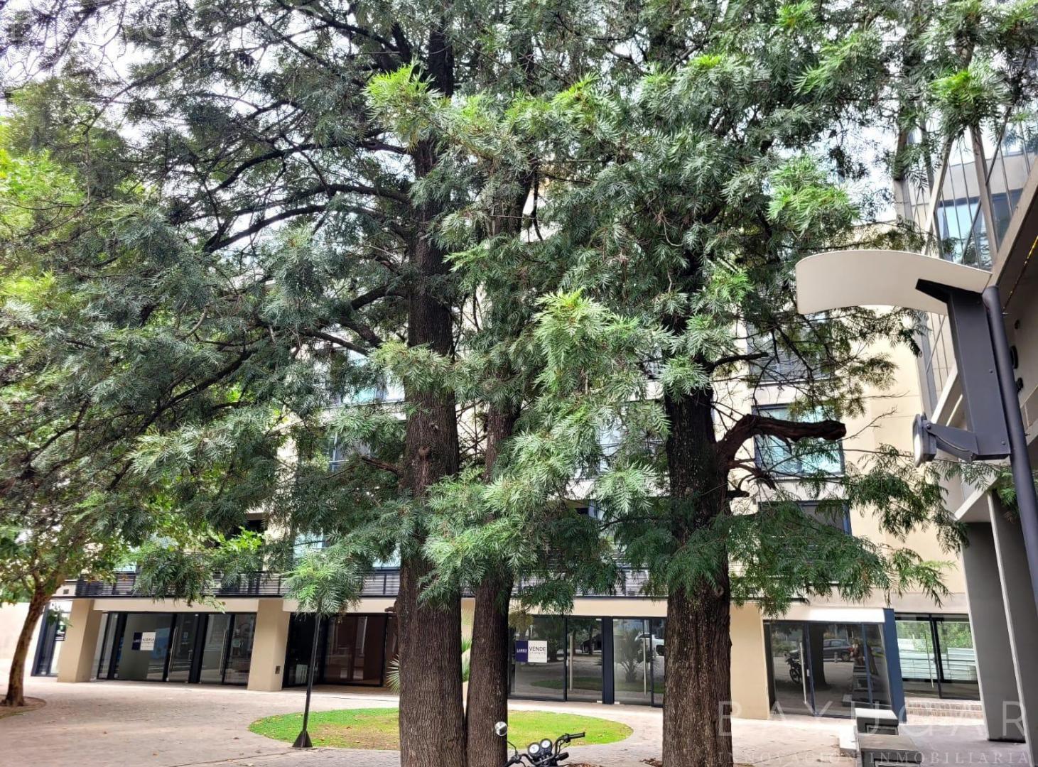 Foto de Venta Oficina / Monoambiente en Edificio Agora II - Apto Crédito, imagen 5