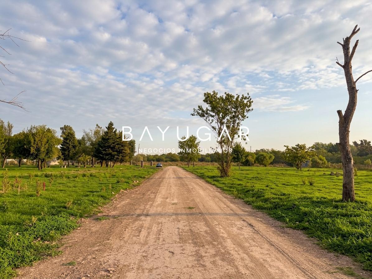 Foto de Venta Terreno - 1000 m2 con Escritura - Athos Palma - Pilar, imagen 1