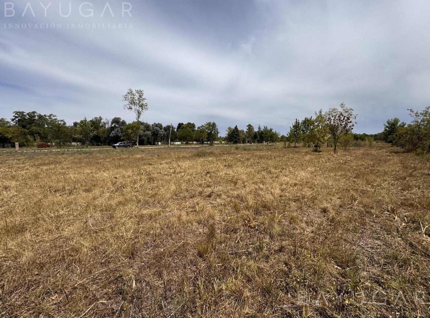 Foto de Venta Terreno - 1000 m2 con Escritura - Athos Palma - Pilar, imagen 5