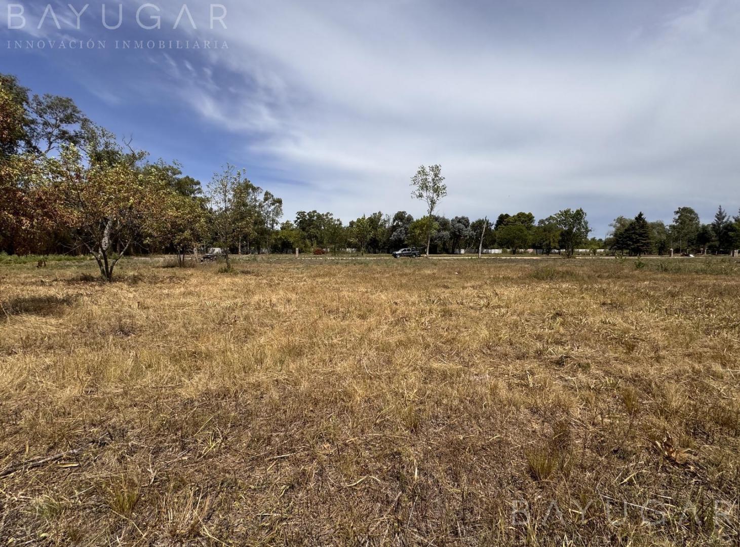 Foto de Venta Terreno - 1000 m2 con Escritura - Athos Palma - Pilar, imagen 4