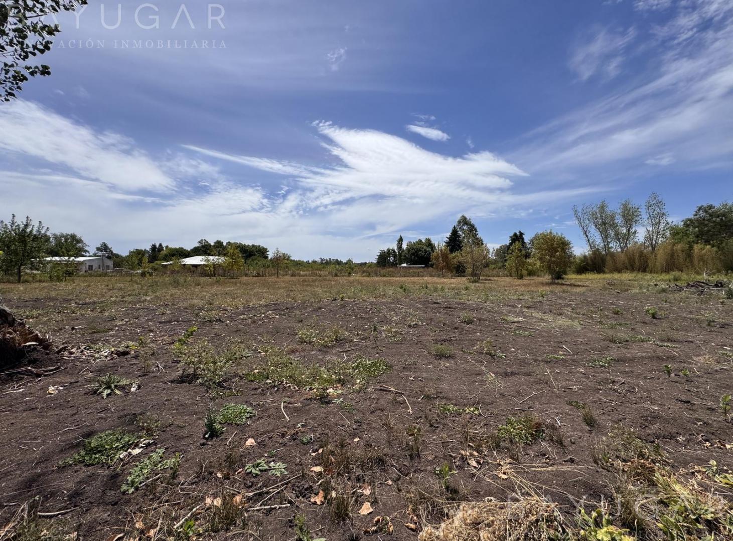 Foto de Venta Terreno - 1000 m2 con Escritura - Athos Palma - Pilar, imagen 3