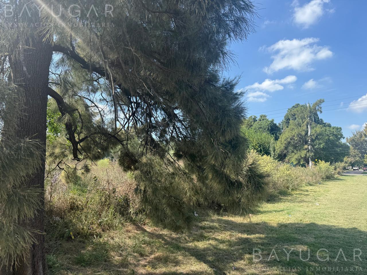 Foto de Venta Terreno en Pilar de 24.300m2 - UR4 - Acepta Permuta - Financiación, imagen 1