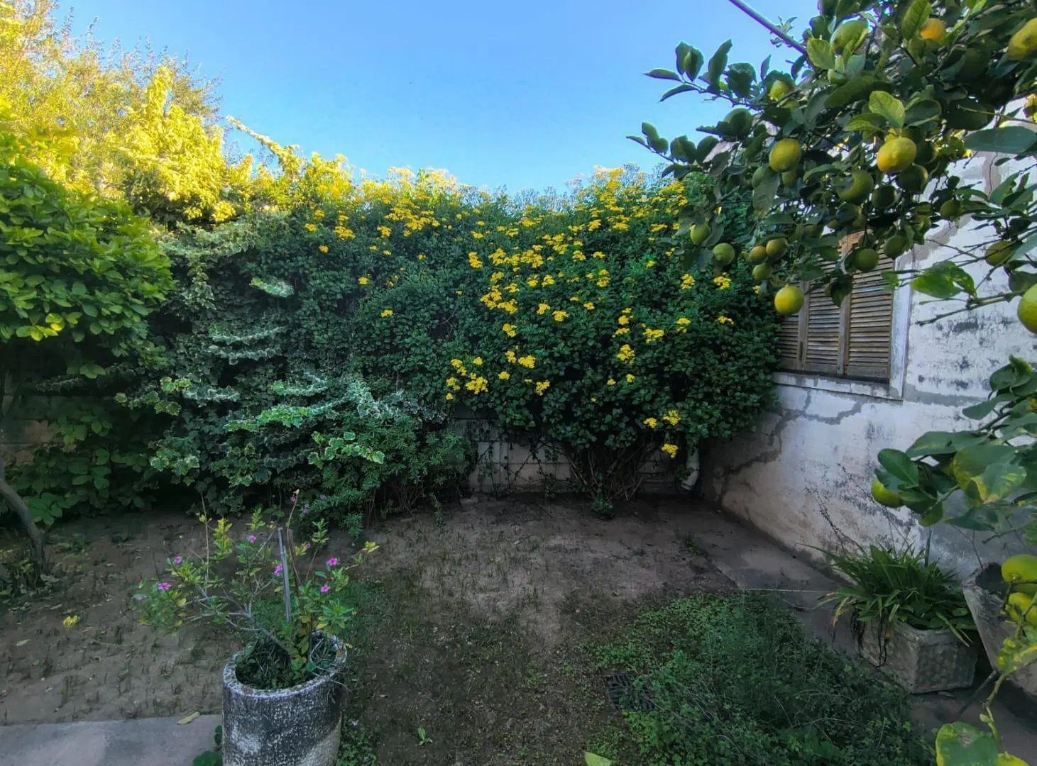 SAN VICENTE: CASA EN VENTA DE 4 DORMITORIOS COCHERA Y PATIO 2