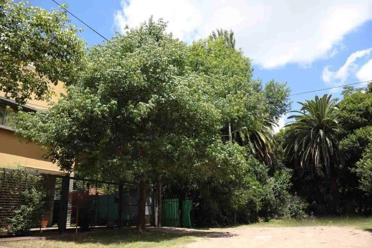 Lote en venta en City bell con pileta 3