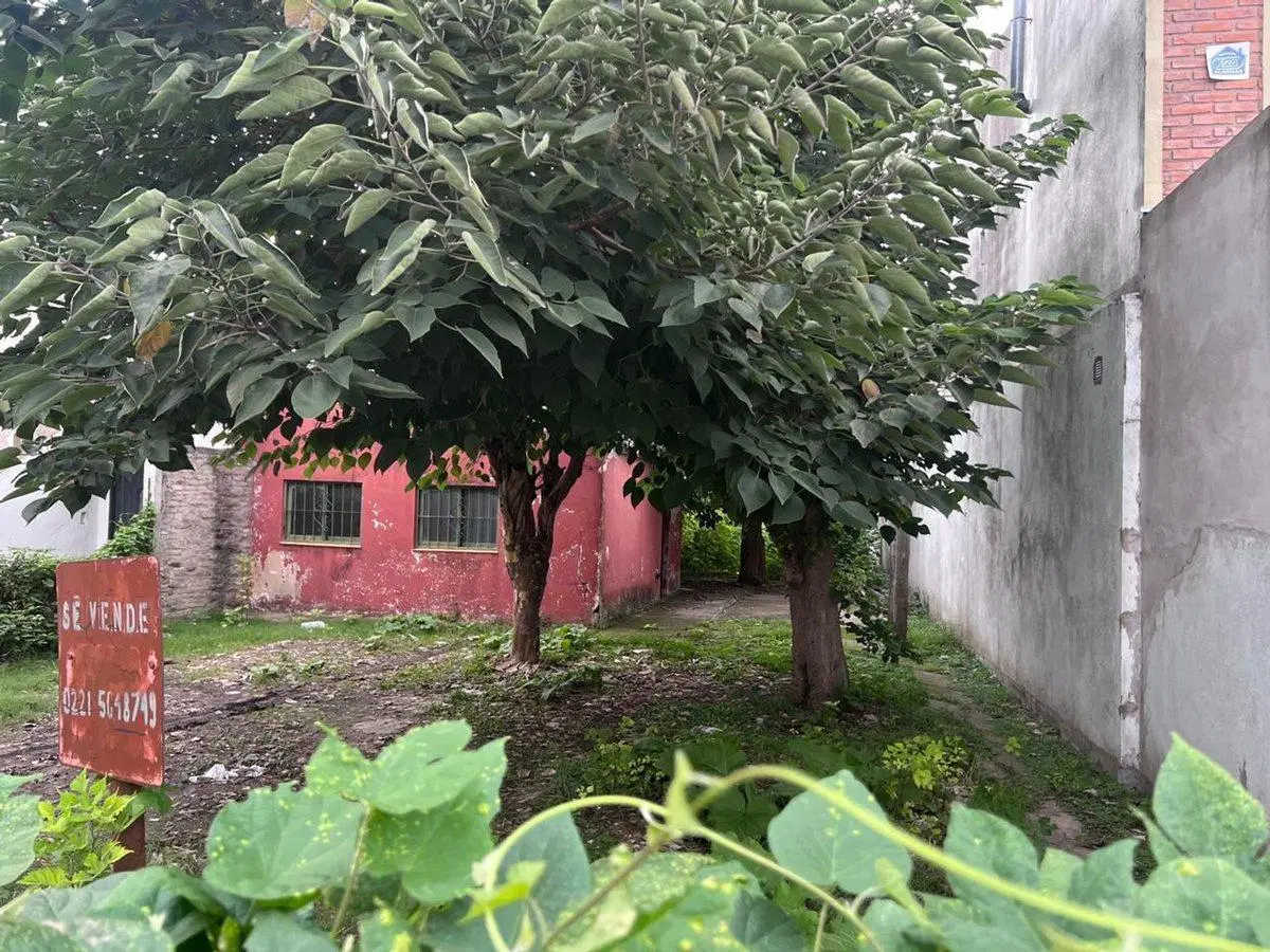 LOTE EN VENTA LA PLATA SOBRE AVENIDA 149 2