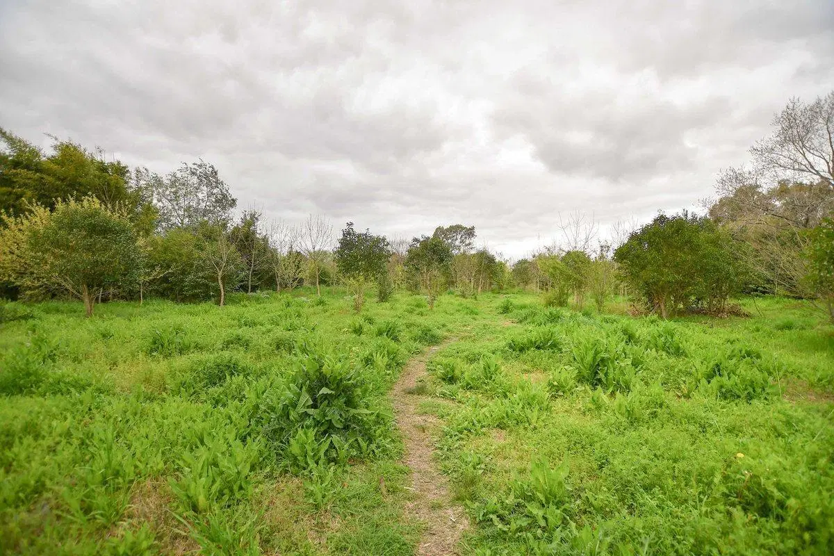 TERRENO EN VENTA LA PLATA 2