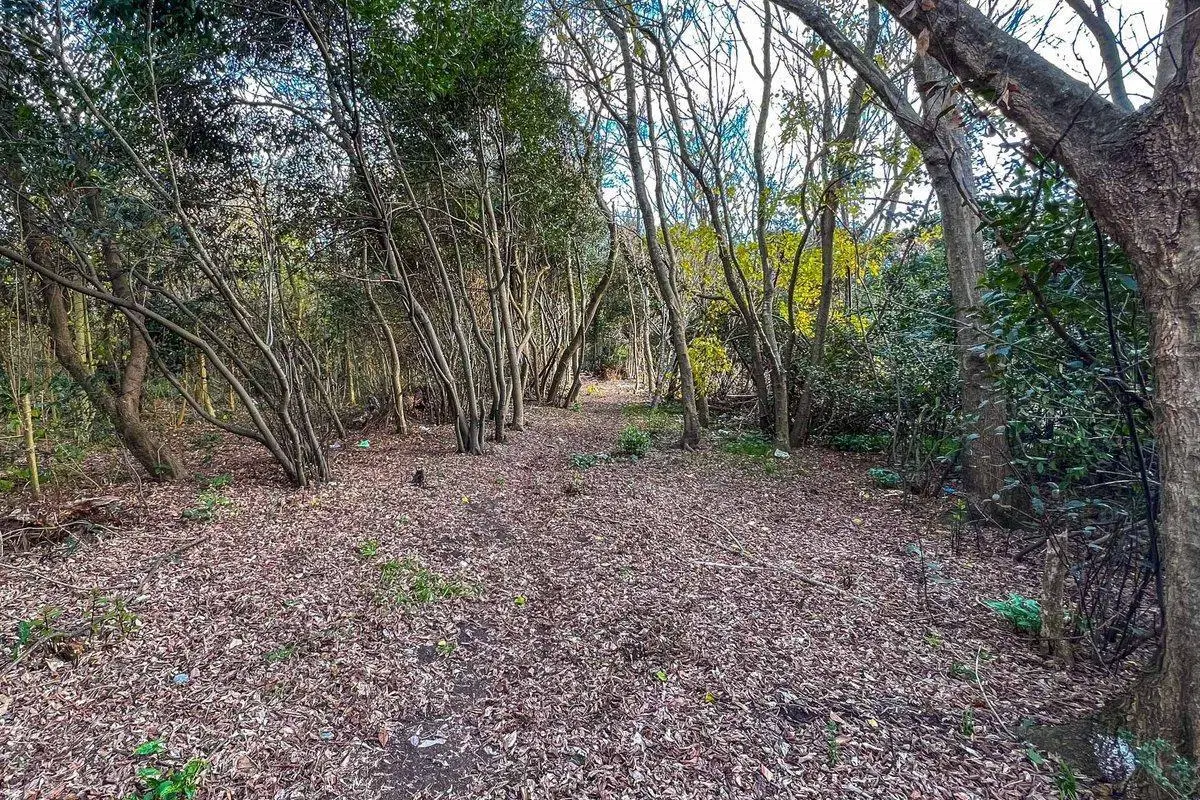 LOTE HECTAREA EN VENTA LA PLATA 5