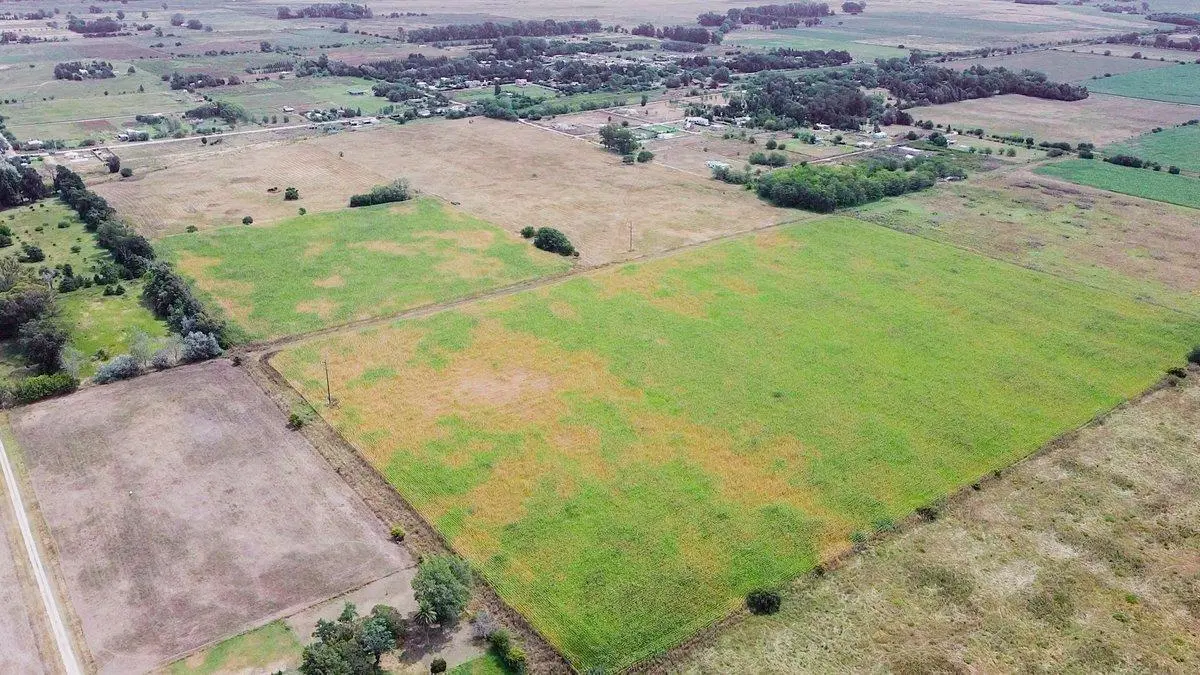 Campo a la venta en Ignacio Correas La Plata 2