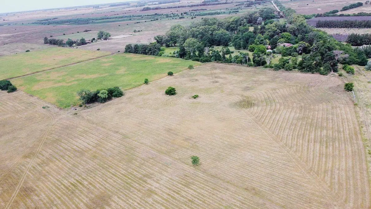 Campo a la venta en Ignacio Correas La Plata 5