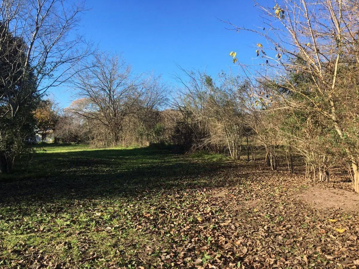 LOTE TERRENO EN VENTA EN VILLA ELISA ENTRE CAMINOS 8