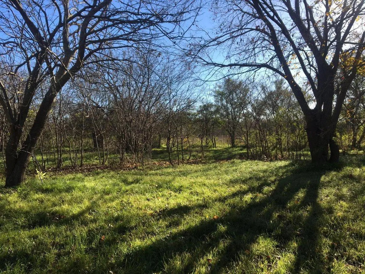 LOTE TERRENO EN VENTA EN VILLA ELISA ENTRE CAMINOS 2