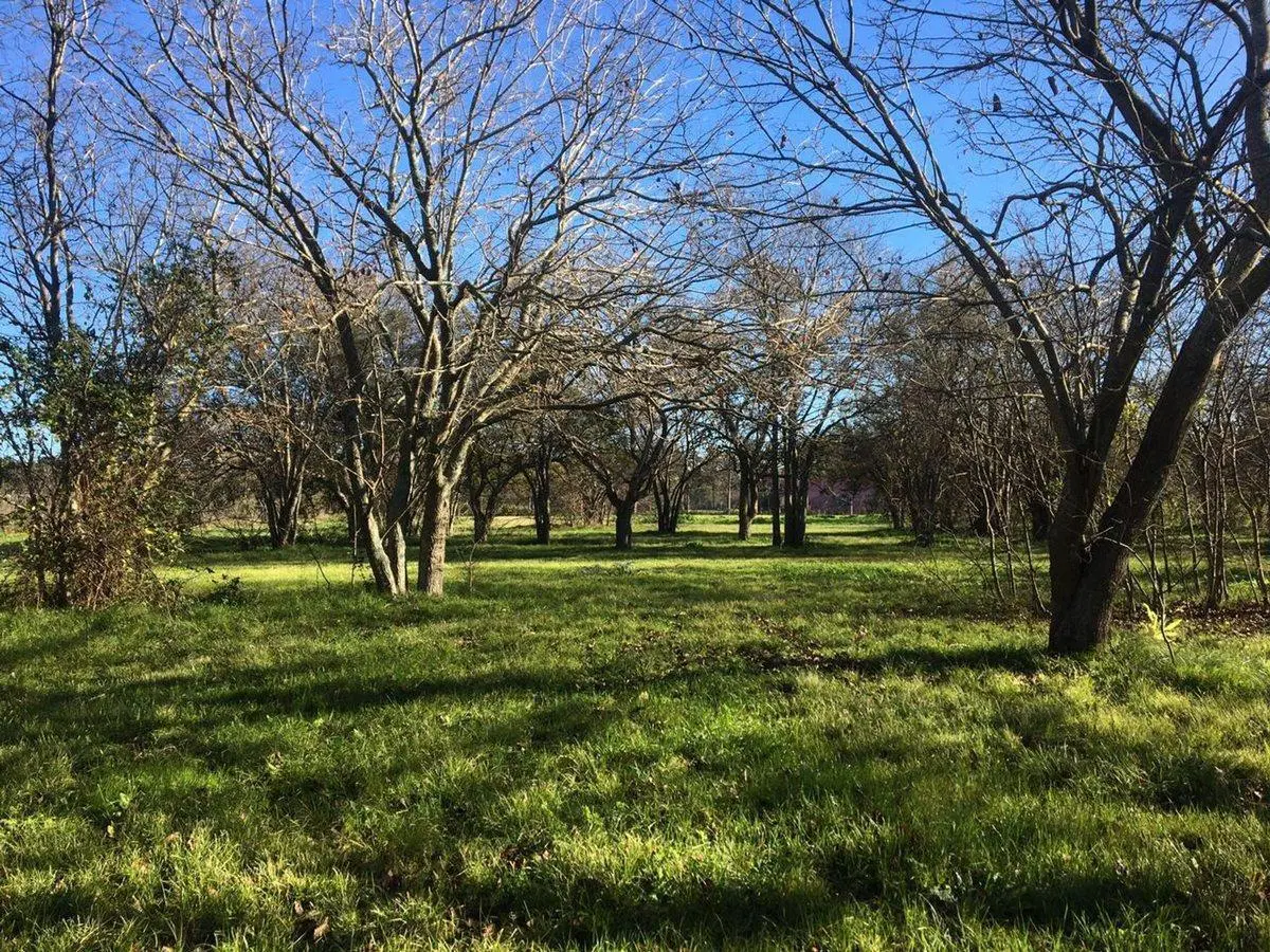 LOTE TERRENO EN VENTA EN VILLA ELISA ENTRE CAMINOS 3