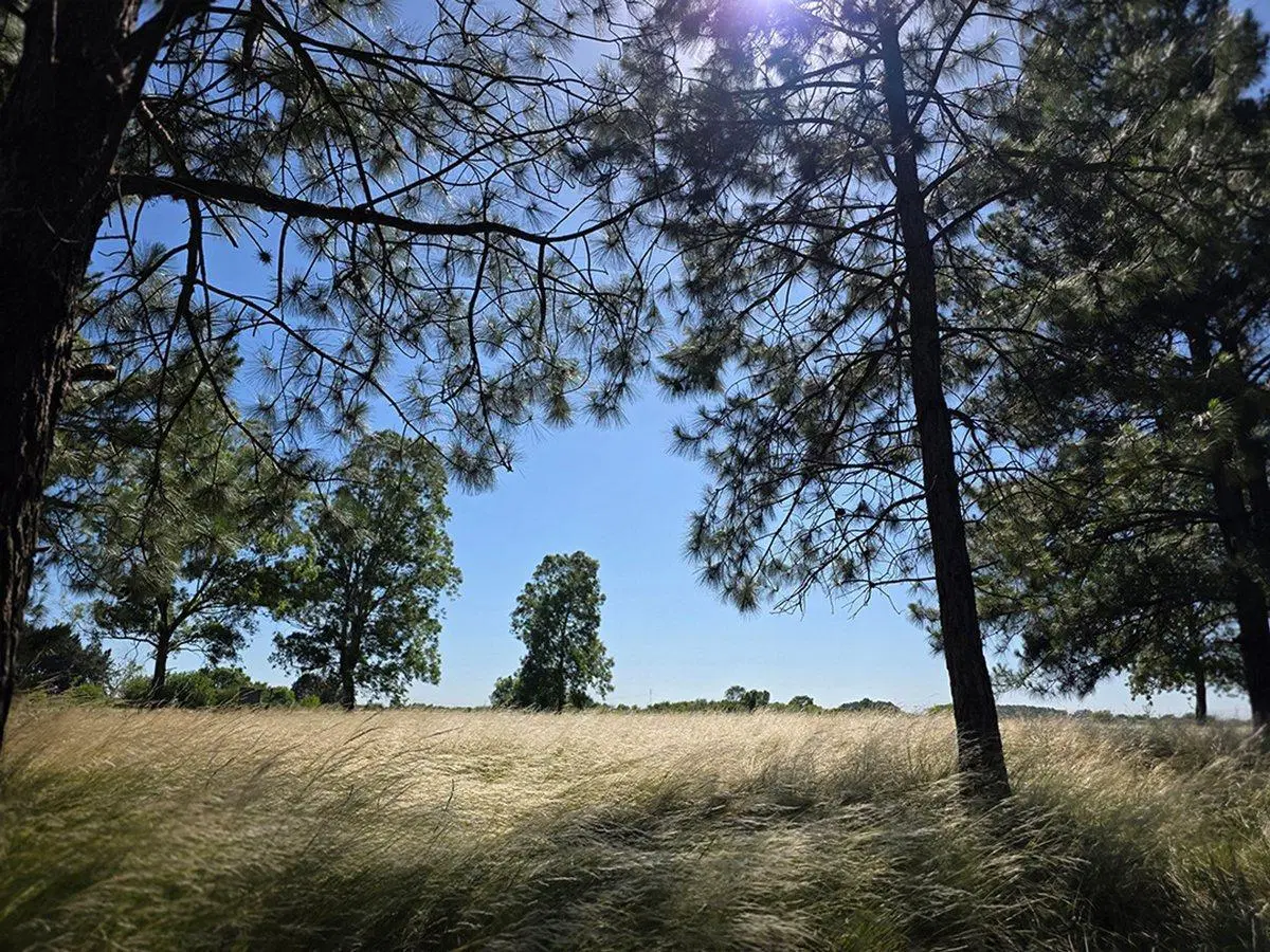 CAMPO EN VENTA SOBRE RUTA 6 KM 35.5 5