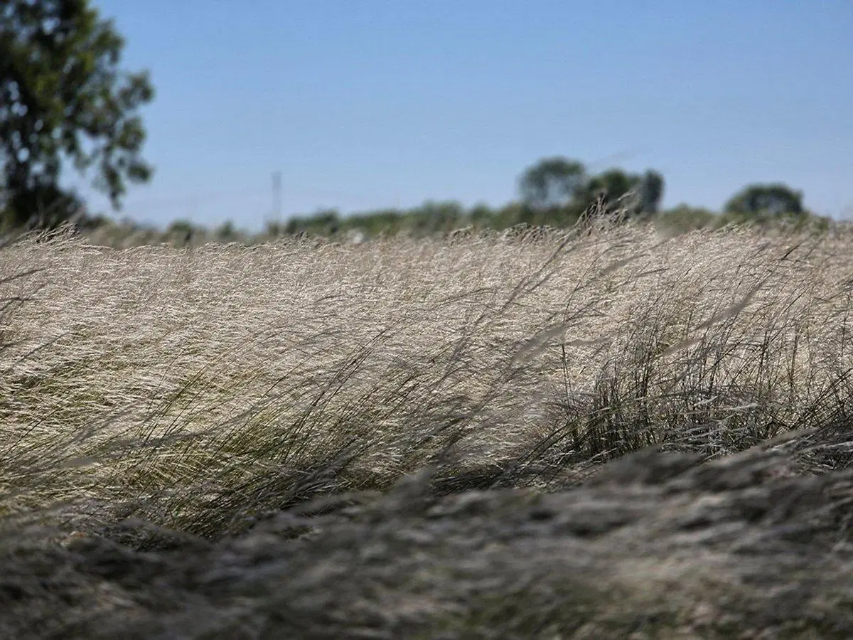 CAMPO EN VENTA SOBRE RUTA 6 KM 35.5 2
