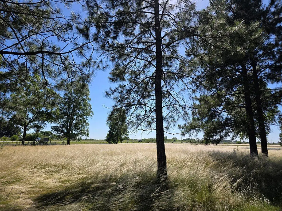 CAMPO EN VENTA SOBRE RUTA 6 KM 35.5 3