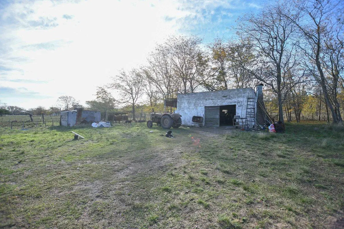 CAMPO EN VENTA MAGDALENA 4 HECTAREAS SOBRE RUTA 11 4