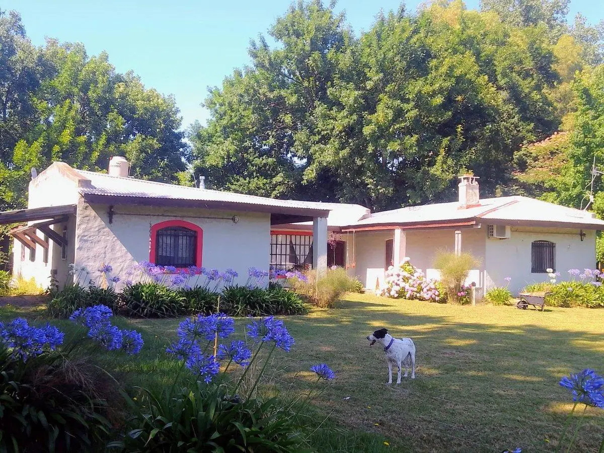 CASA  VENTA 1.6 HECTÁREAS  CON INVERNACULO  ABASTO 2