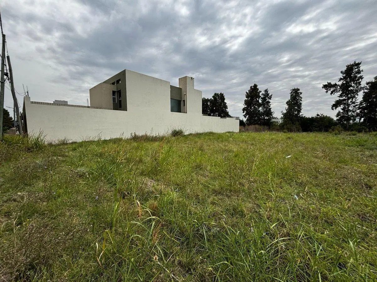 LOTE EN VENTA SAN CARLOS LA PLATA 650 m2 2