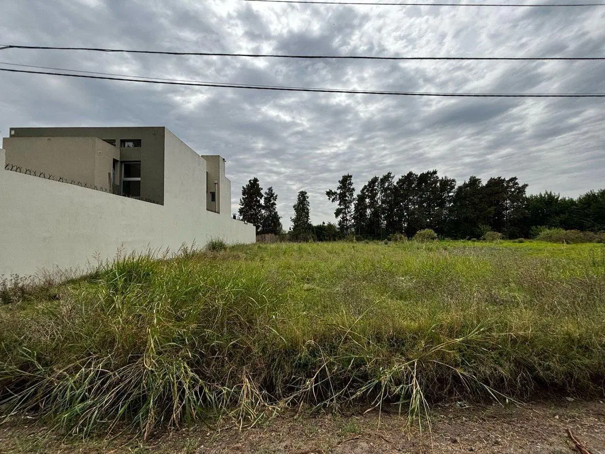 LOTE EN VENTA SAN CARLOS LA PLATA 650 m2 3