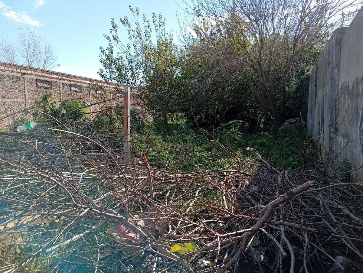 LOTE EN VENTA LA PLATA 4