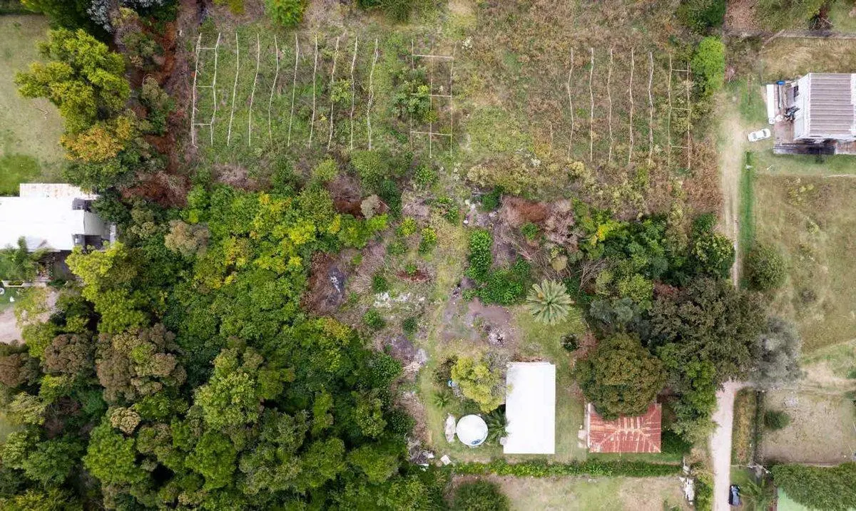 HECTAREAS EN VENTA EN VILLA ELISA 5