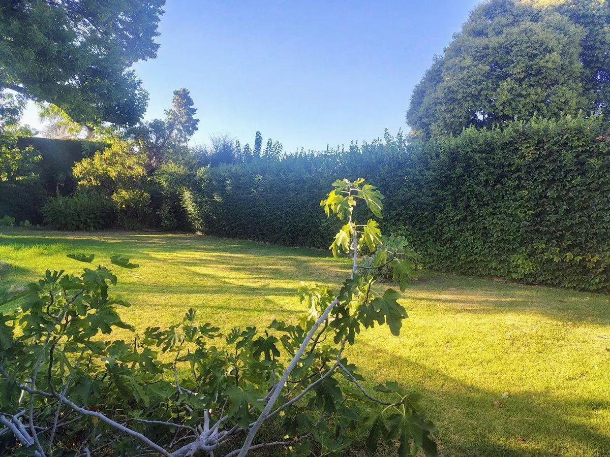 Lote en Venta La Plata  Ideal Desarrollador 2