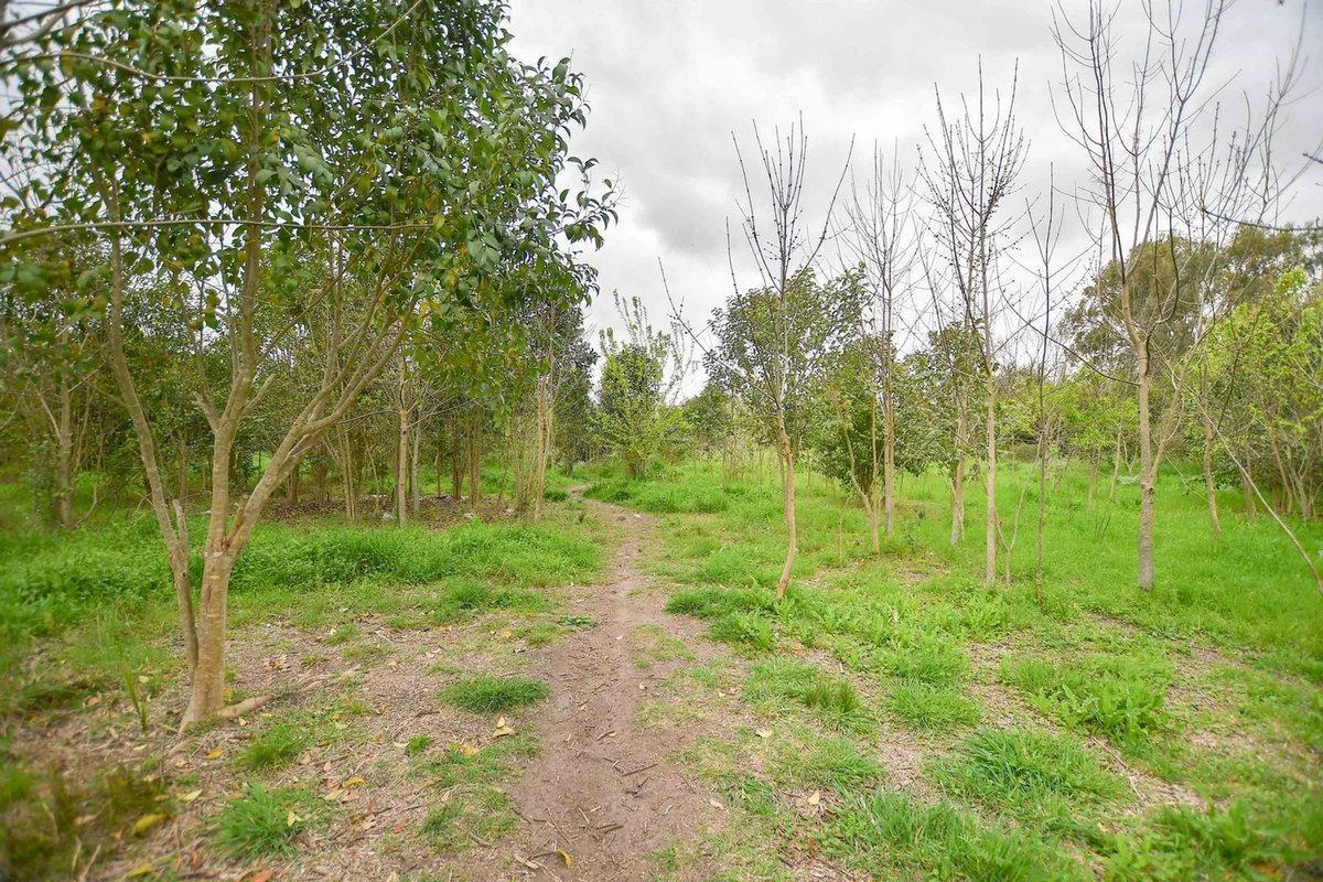 TERRENO EN VENTA LA PLATA