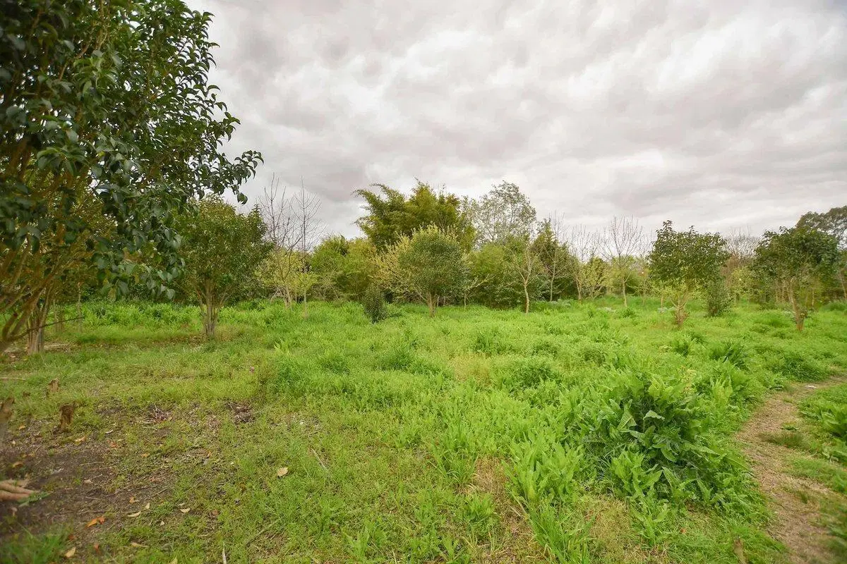 TERRENO EN VENTA LA PLATA 3