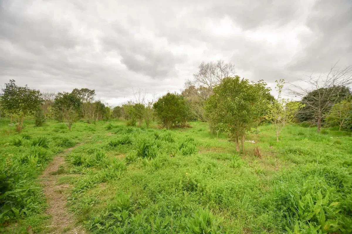 TERRENO EN VENTA LA PLATA 2