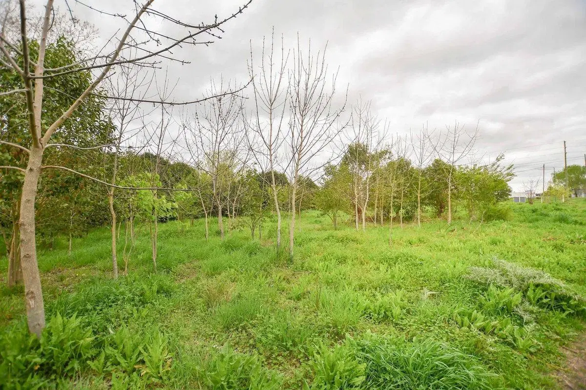 TERRENO EN VENTA LA PLATA 4