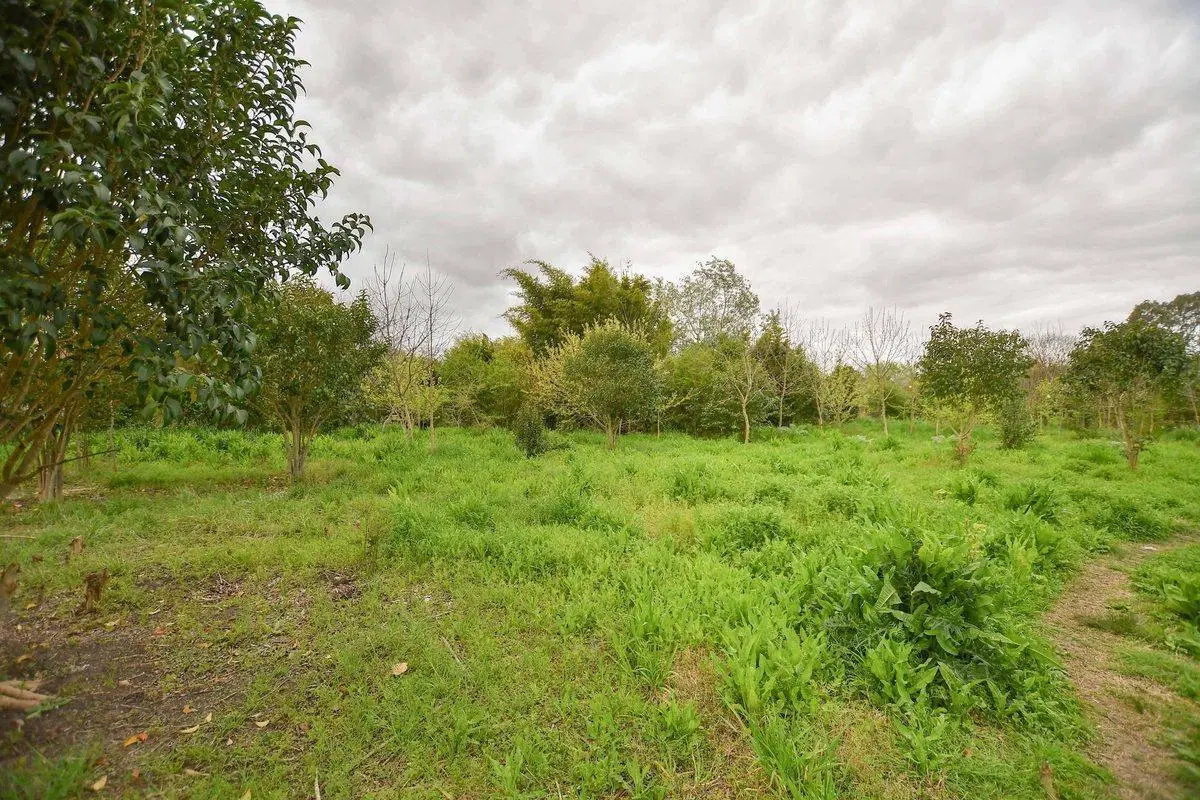 TERRENO EN VENTA LA PLATA 4