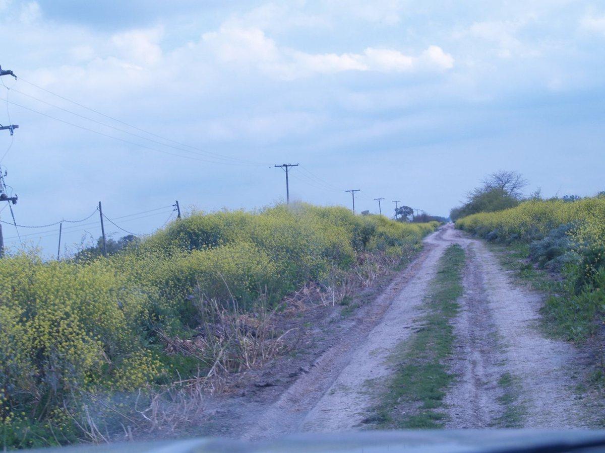 CAMPO EN VENTA EN MAGDALENA
