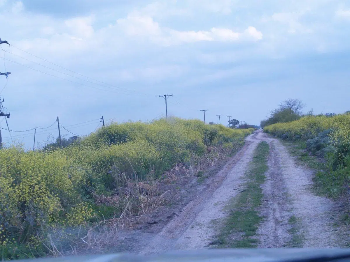 CAMPO EN VENTA EN MAGDALENA 2