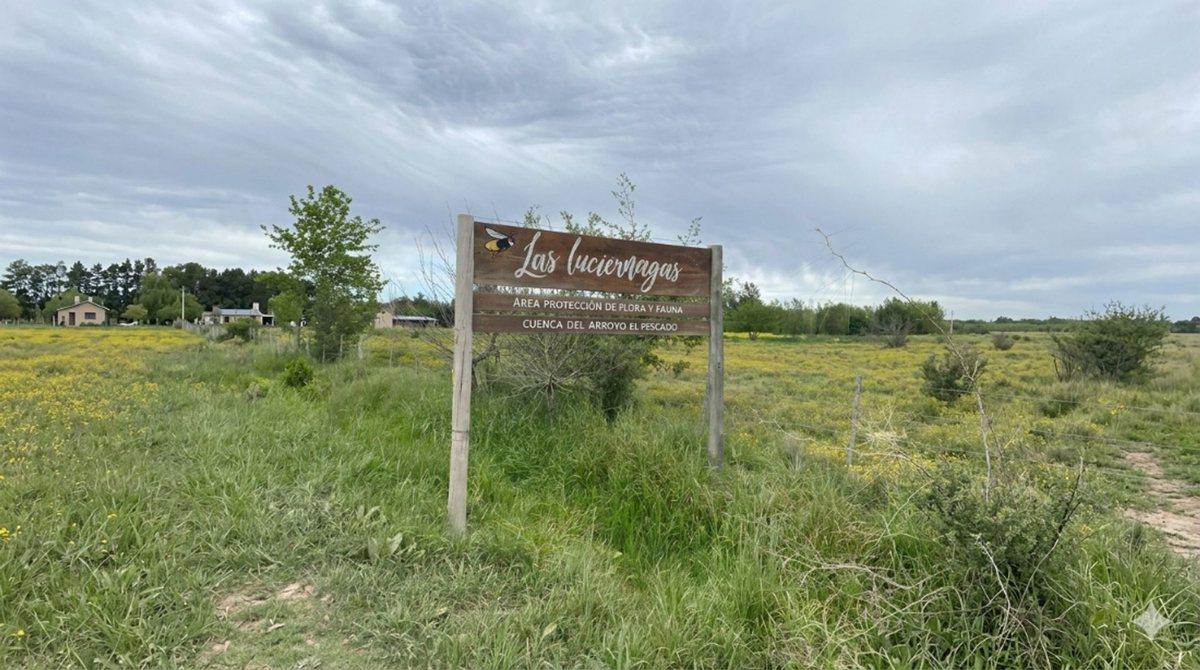 LOTE EN VENTA EN ARANA BARRIO LAS LUCIÉRNAGAS