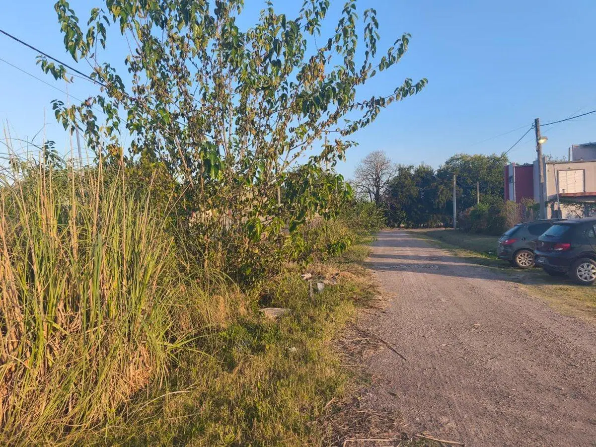 LOTE EN VENTA ARTURO SEGUI 2