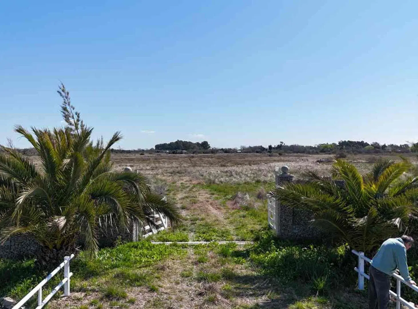 HECTAREAS EN VENTA EN MAGDALENA 2