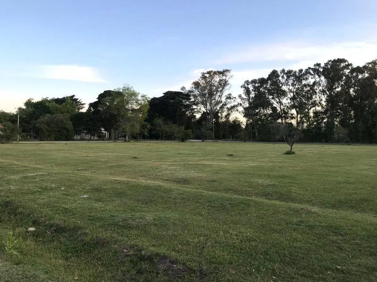 FRACCION CAMPO EN VENTA MAGDALENA 1,5 HECTAREAS 4