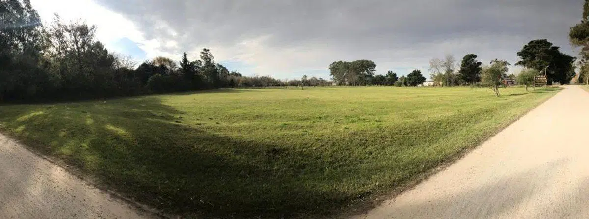 FRACCION CAMPO EN VENTA MAGDALENA 1,5 HECTAREAS 3