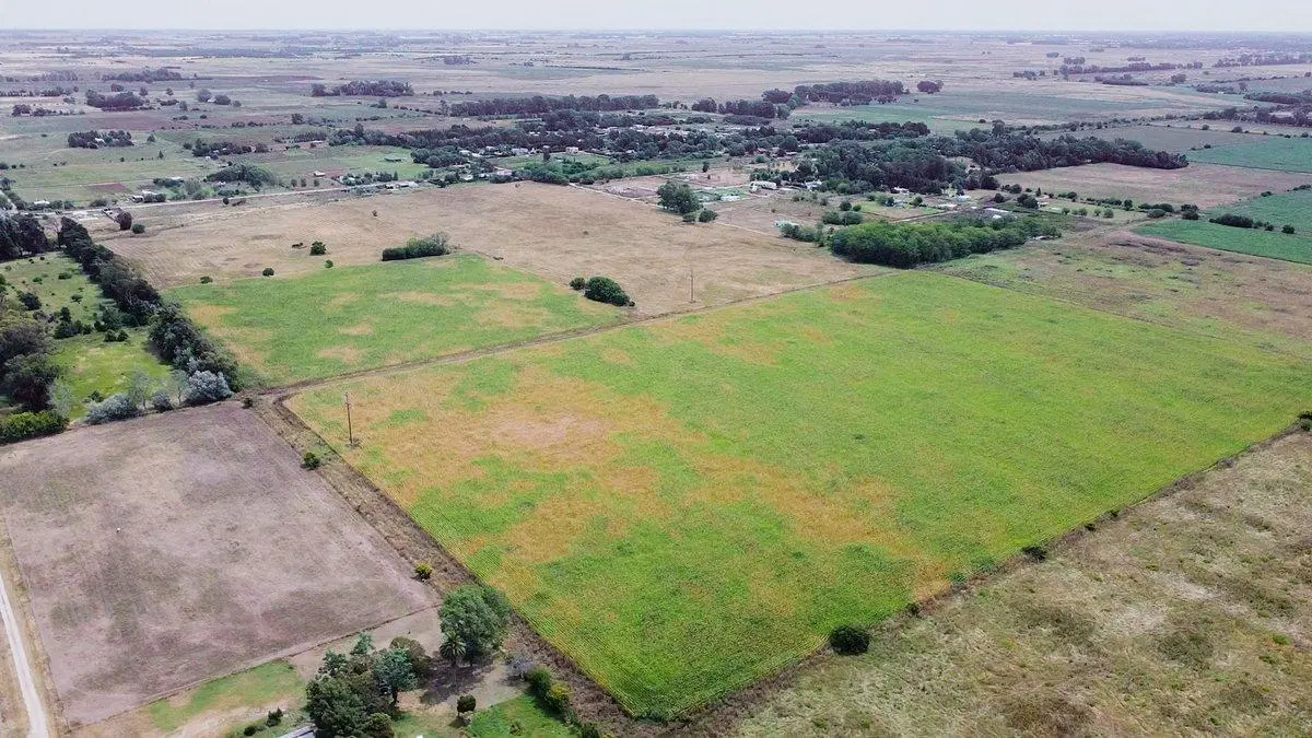 Campo a la venta en Ignacio Correas La Plata 2
