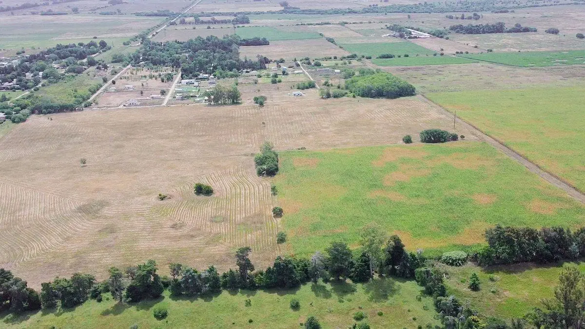 Campo a la venta en Ignacio Correas La Plata 5