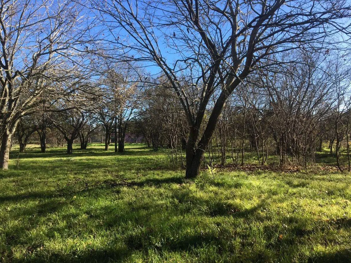 LOTE TERRENO EN VENTA EN VILLA ELISA ENTRE CAMINOS 5