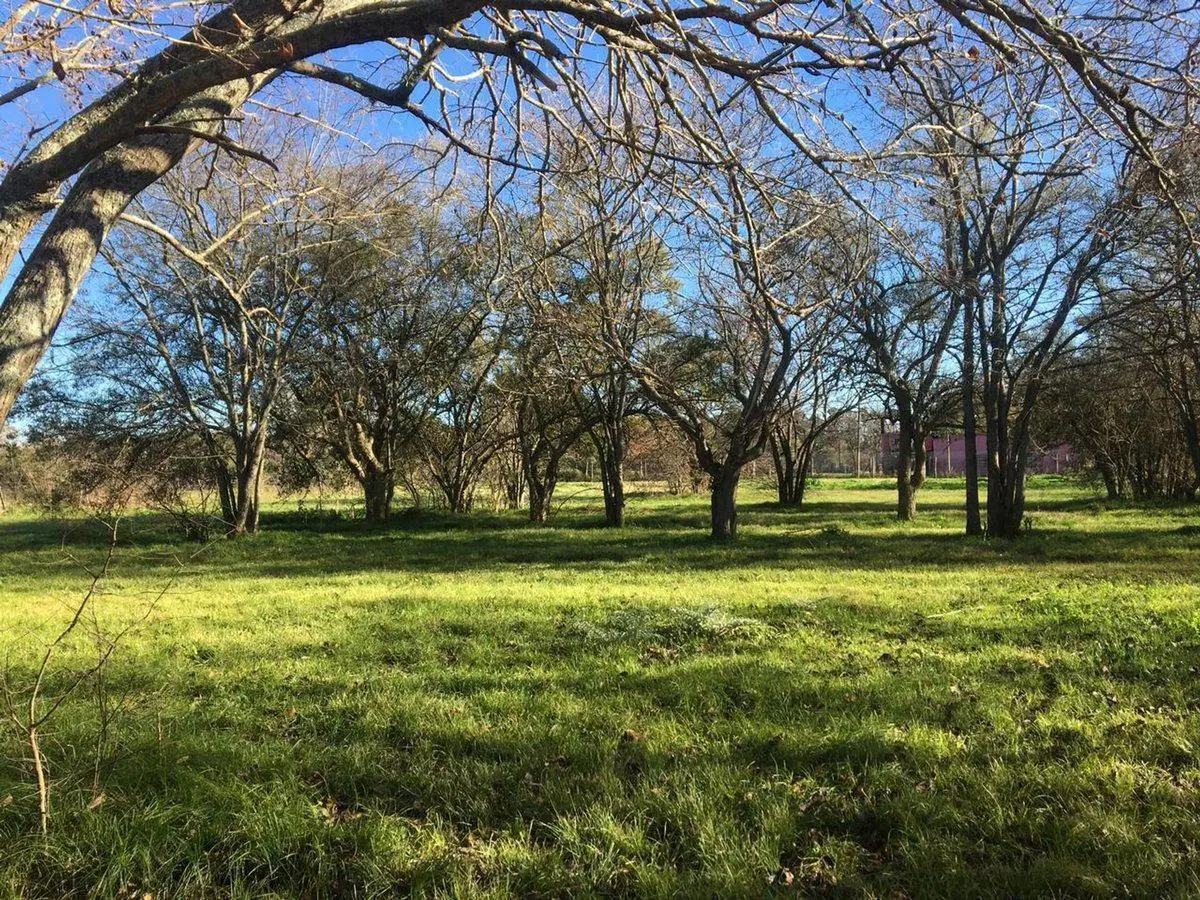 LOTE TERRENO EN VENTA EN VILLA ELISA ENTRE CAMINOS 3