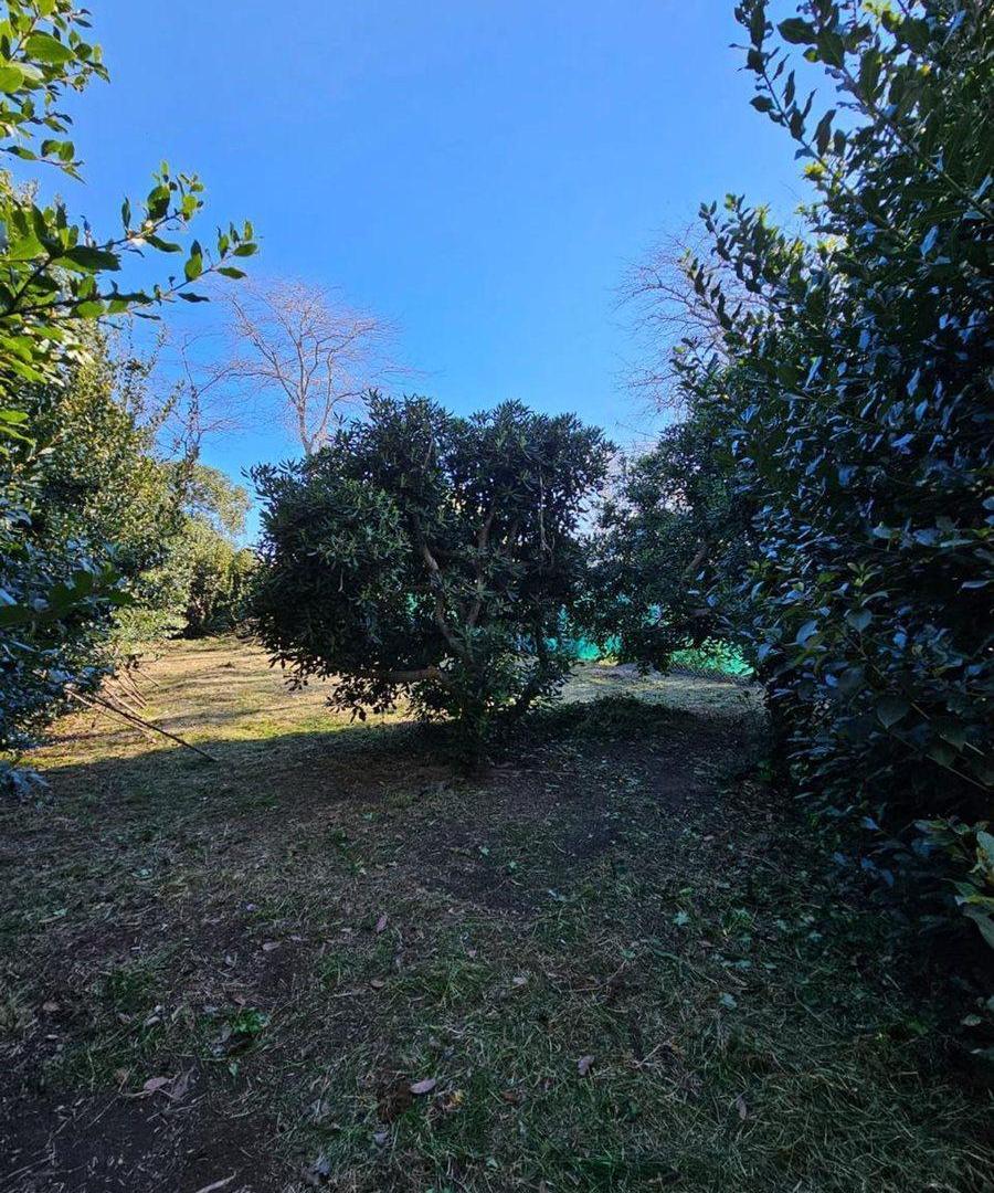 Foto de LOTE EN VENTA CITY BELL ENTRE CAMINOS, imagen 2