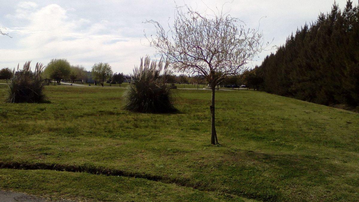 Foto de LOTE EN VENTA HARAS DEL SUR 2, imagen 2