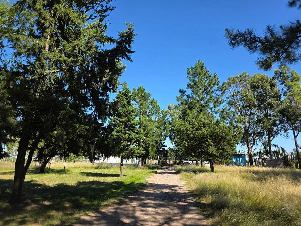 CAMPO EN VENTA SOBRE RUTA 6 KM 35.5 3