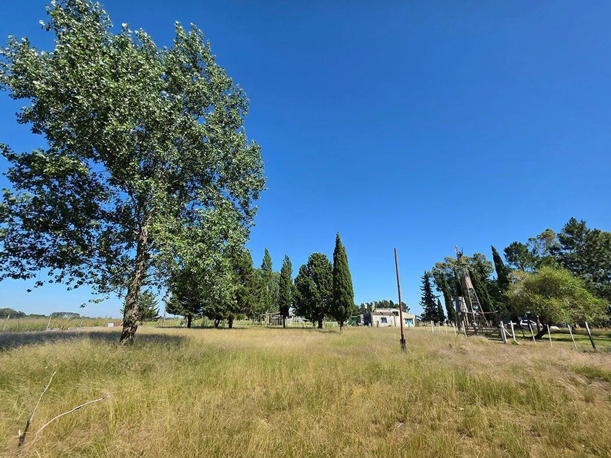CAMPO EN VENTA SOBRE RUTA 6 KM 35.5 5