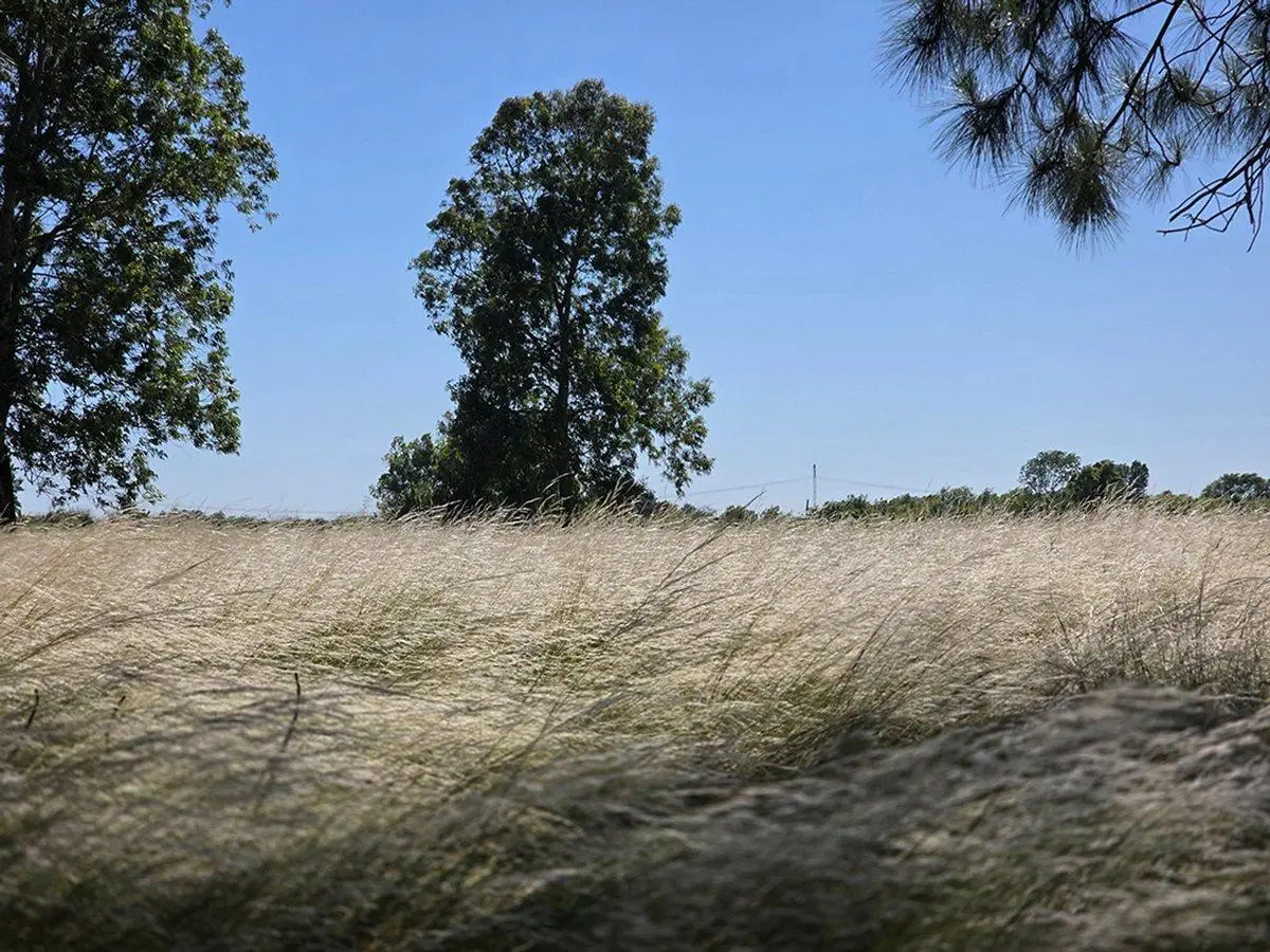 CAMPO EN VENTA SOBRE RUTA 6 KM 35.5 8
