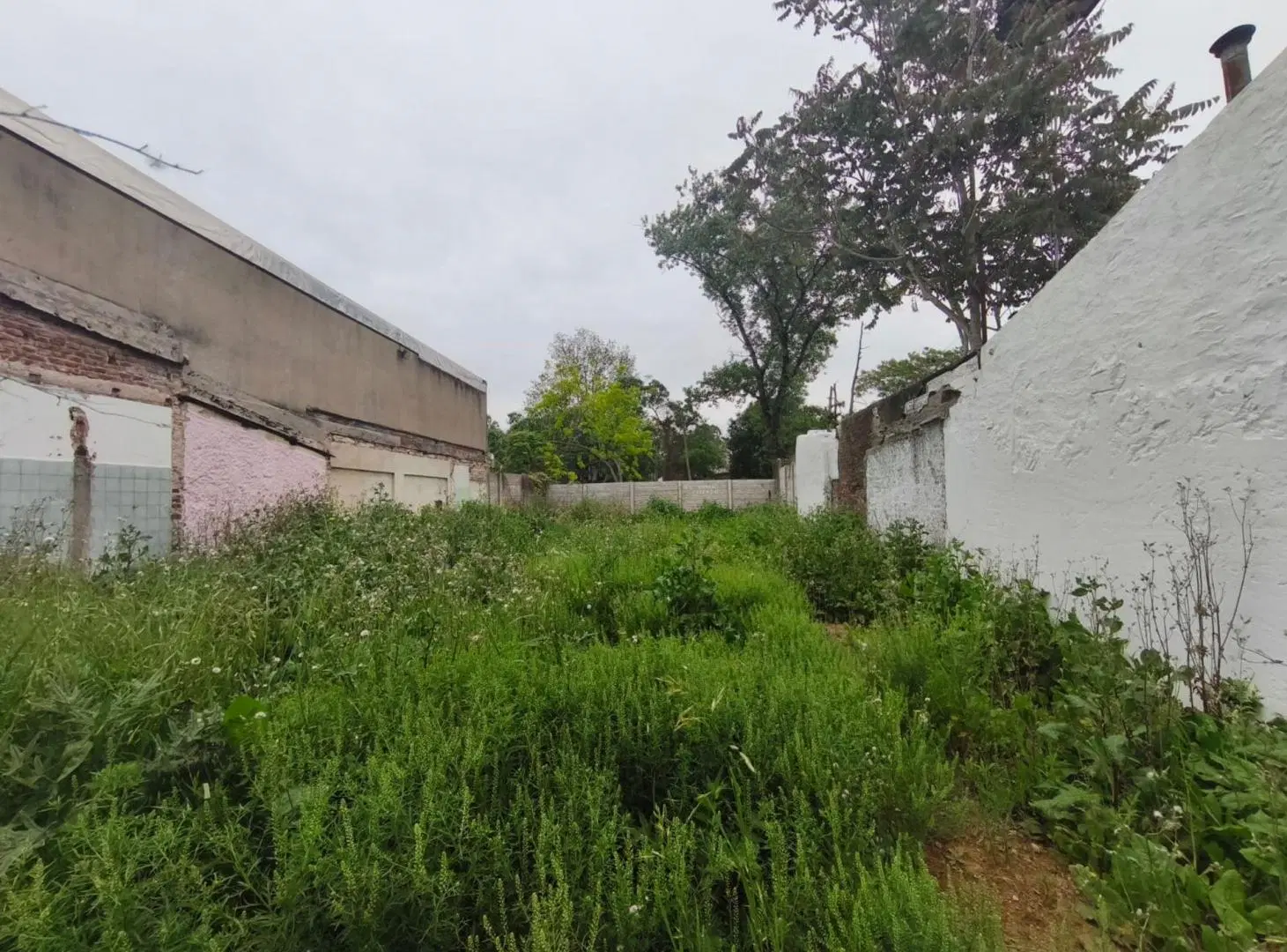 LOTE EN VENTA LA PLATA SOBRE CALLE 122 7