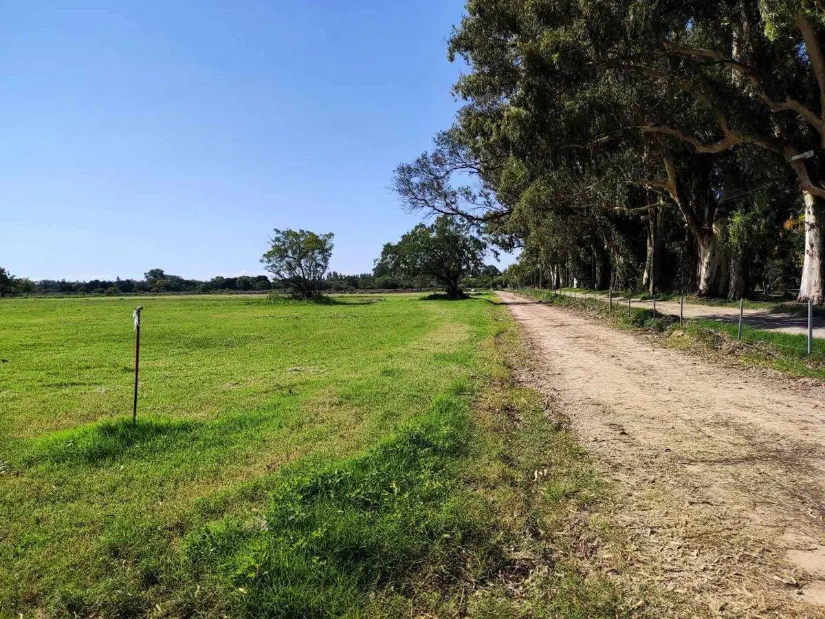 LOTE EN VENTA BERISSO BARRIO CAMPOS DEL SUD 2